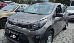 foto de Autos marca Kia seminuevo modelo Picanto año 2019