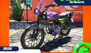 foto de Motos marca Thunder seminuevo modelo B-52 año 2026 en Quito