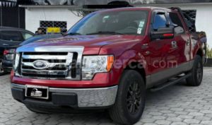 foto de Autos marca Ford seminuevo modelo F150 año 2010