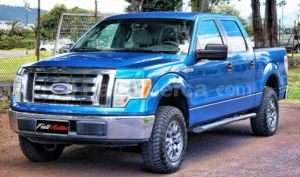 foto de Autos marca Ford seminuevo modelo F150 año 2010