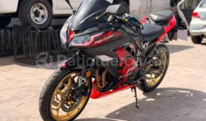 Factory Bike F300 DRAKON 2024
