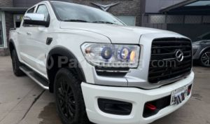 foto de Autos marca ZX AUTO seminuevo modelo TERRALORD año 2025