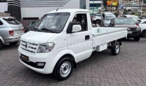 DFSK C31  MINI TRUCK 2027