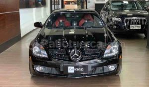 Mercedes Benz—™ SLK 350 AMG 2010