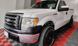 foto de Autos marca Ford seminuevo modelo F150 año 2010