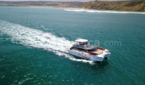 foto de AFRICAT AFRICAT 45 2019