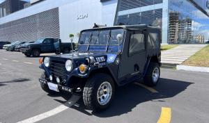 Ford Mutt 1977
