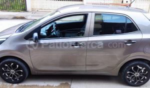 Kia PICANTO LX 2019