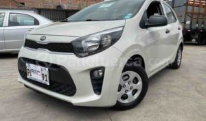 Kia PICANTO LX 2019