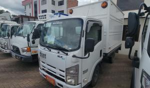 Chevrolet NLR 55E 2019