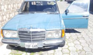Mercedes Benz—™ 250 1980