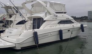 SEARAY 450 Express Bridge 1998