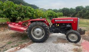 Massey Fergusson 245 2015