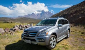 Mercedes Benz—™ GL450 2011