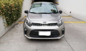 Kia PICANTO LX 2019