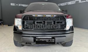 foto de Autos marca Ford seminuevo modelo F150 RC año 2009