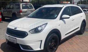 Kia NIRO Hibrido 2019