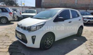 Kia PICANTO LX 2019