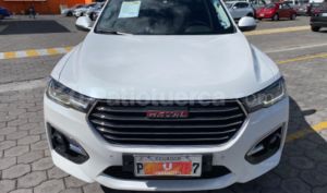 foto de Autos marca Great Wall seminuevo modelo Haval H6 año 2019