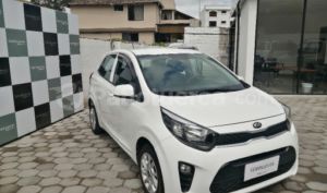 Kia Picanto GT Limited 2019