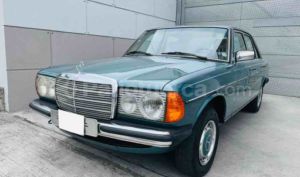 Mercedes Benz—™ 250 1980