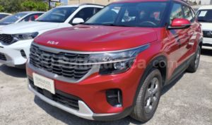 foto de Autos marca Kia seminuevo modelo Seltos año 2024 en Guayaquil