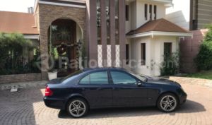 Mercedes Benz—™ E320 2004