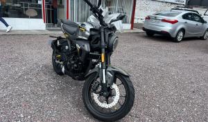 IGM IM250VEGY-4 2024