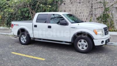 Ford F150 Super Crew 2010