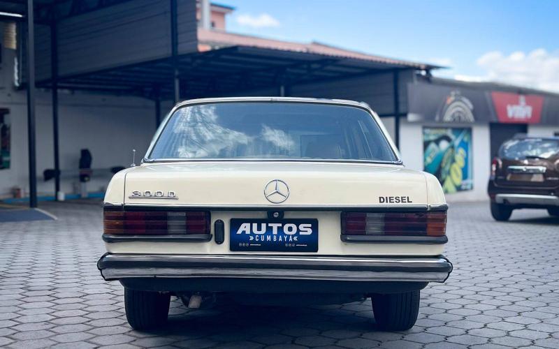 Mercedes Benz