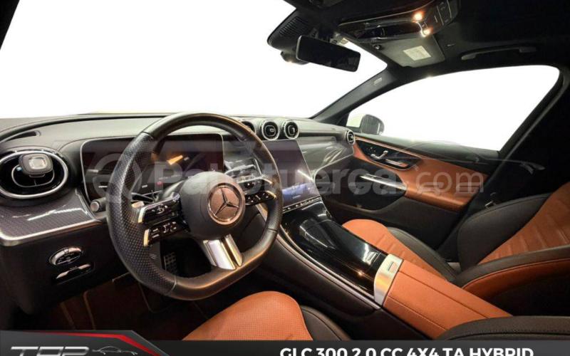 Mercedes Benz
