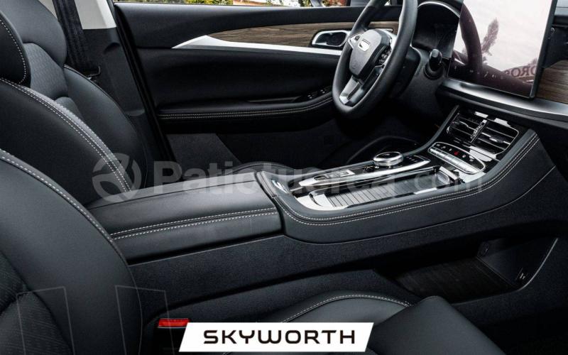 Skyworth