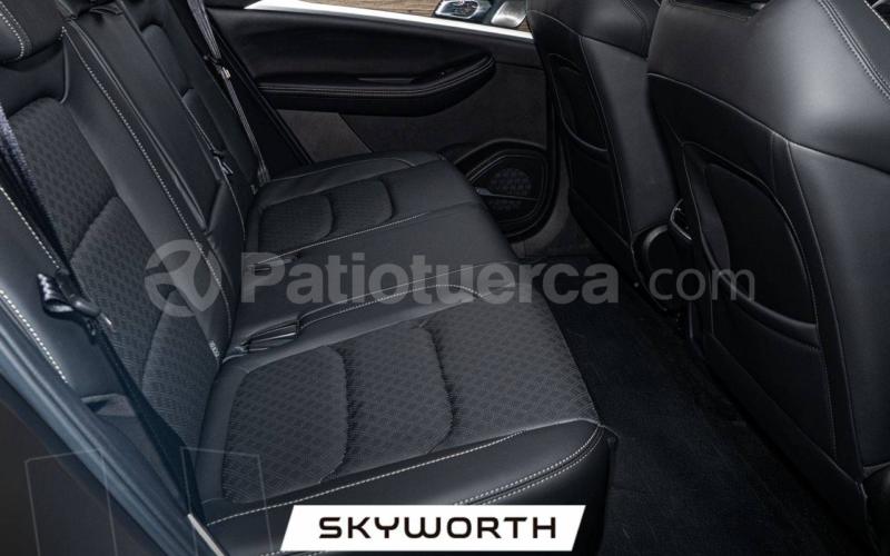 Skyworth