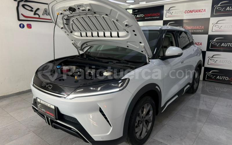 BYD