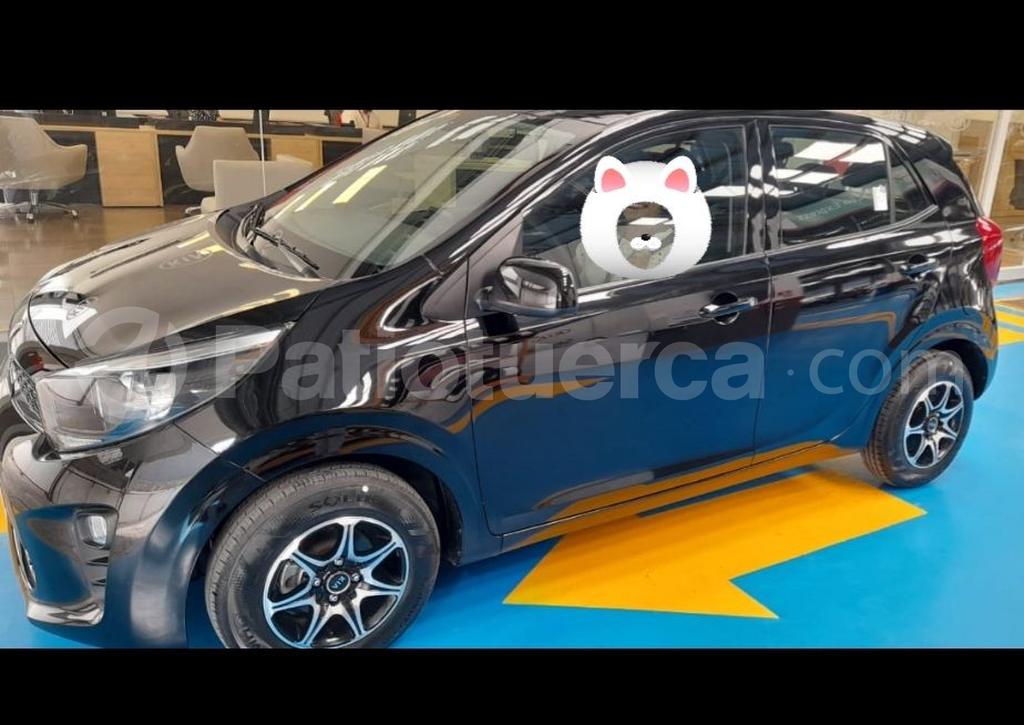 Kia picanto pro