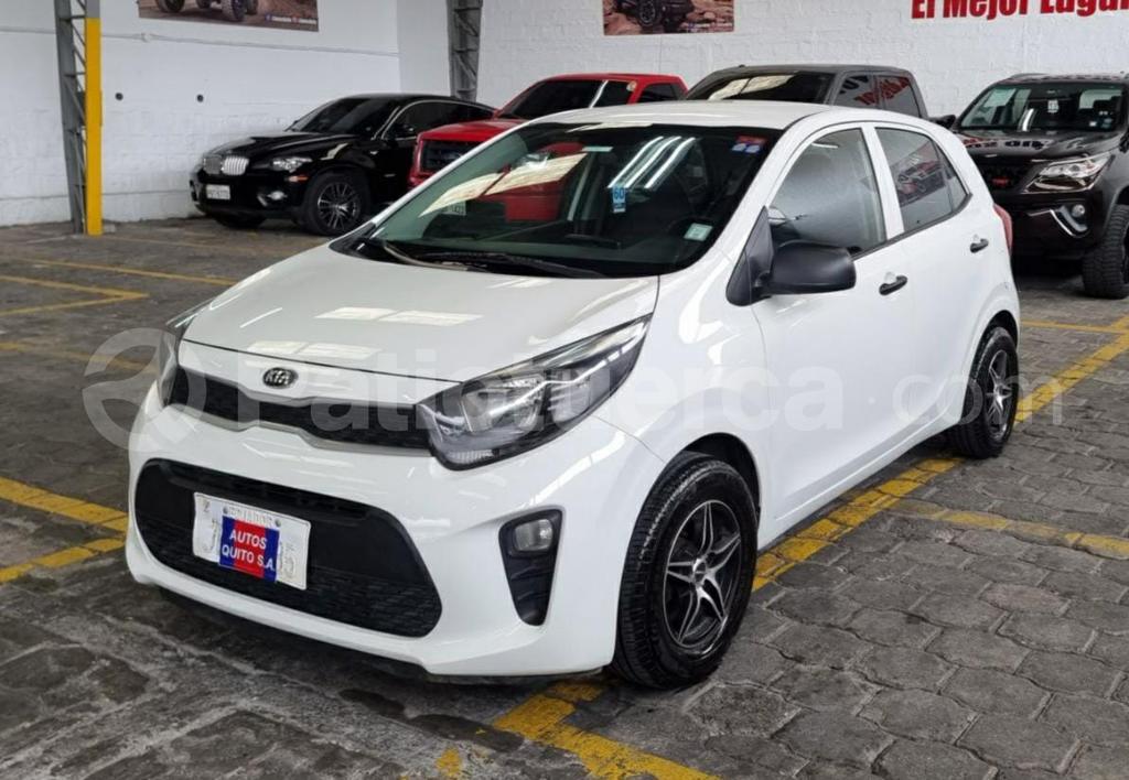 Kia picanto pro