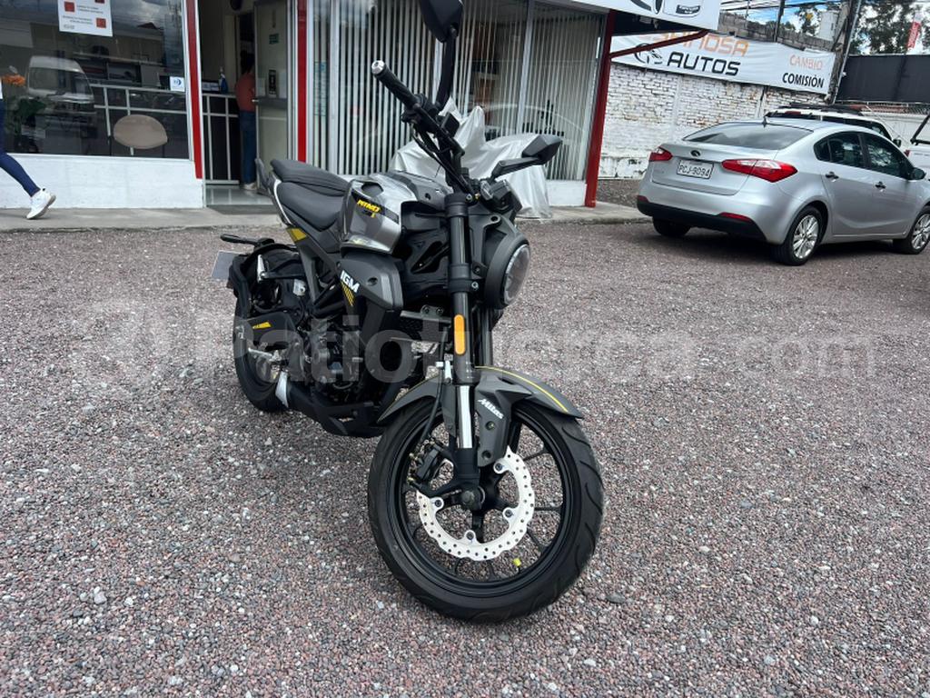 IGM IM250VEGY-4 2024