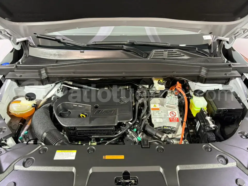 Foto 33 de DongFeng HUGE T