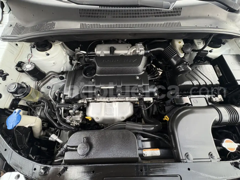 Foto 11 de Kia Sportage Active