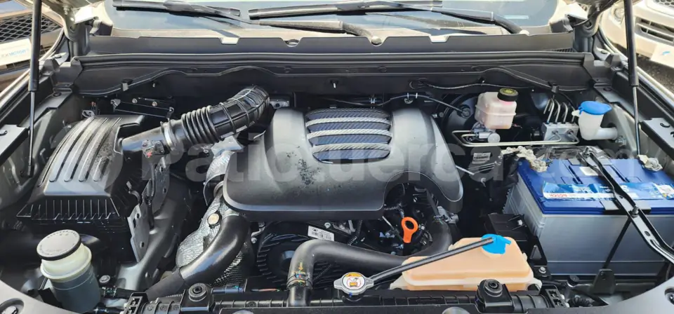 Foto 19 de Great Wall POER