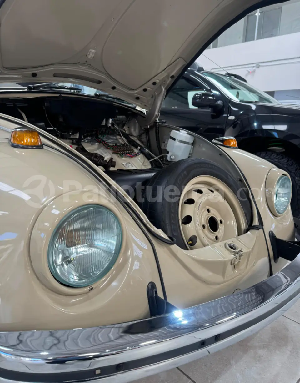 Foto 5 de Volkswagen Escarabajo