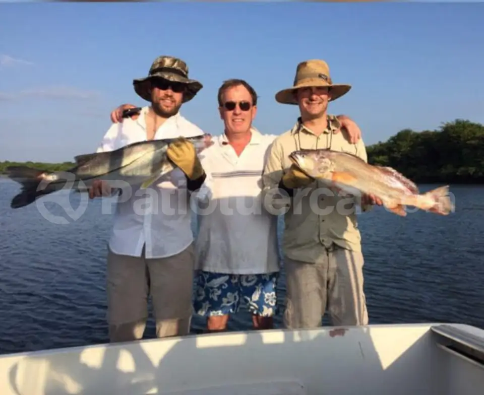 Foto 8 de Bayliner 3000