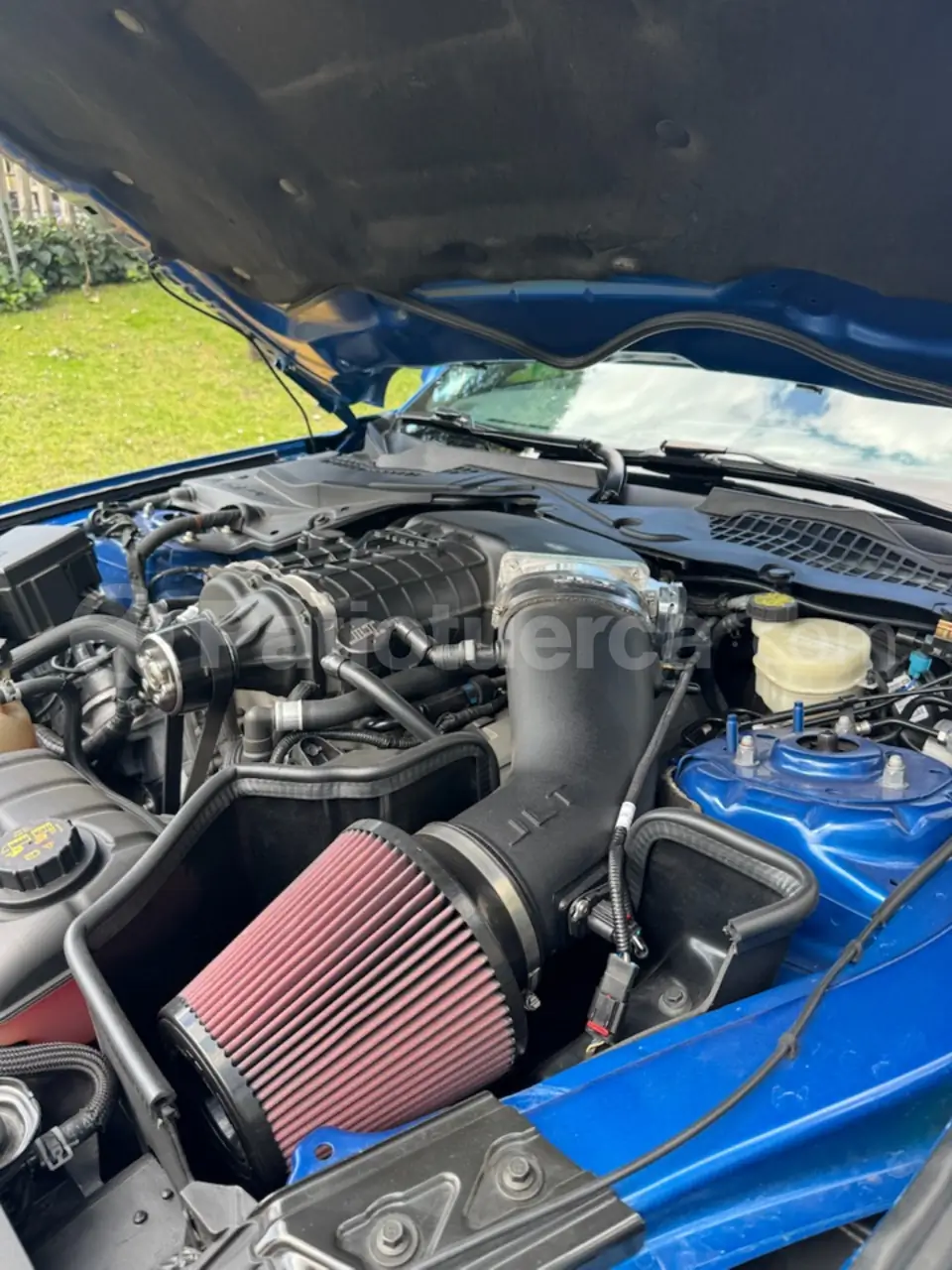 Foto 8 de Ford Mustang GT