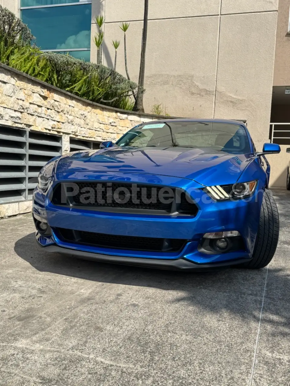 Foto 11 de Ford Mustang GT