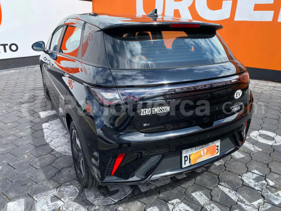 Foto 7 de BYD DOLPHIN