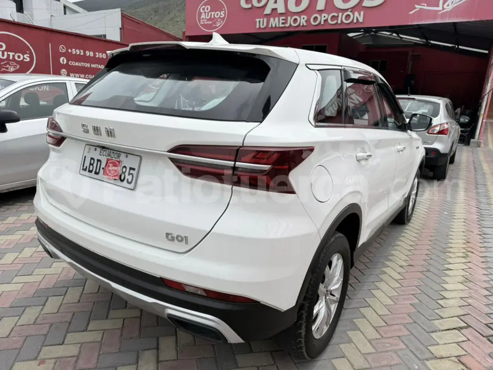 Foto 6 de Shineray SWM G01