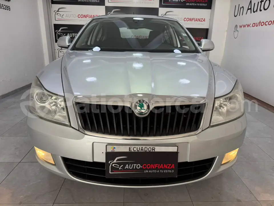 Foto 3 de Skoda Octavia A5 TDI