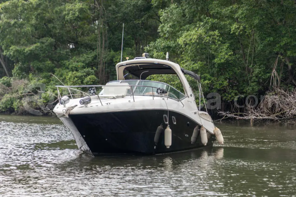 Foto 6 de Sea Ray Sundancer