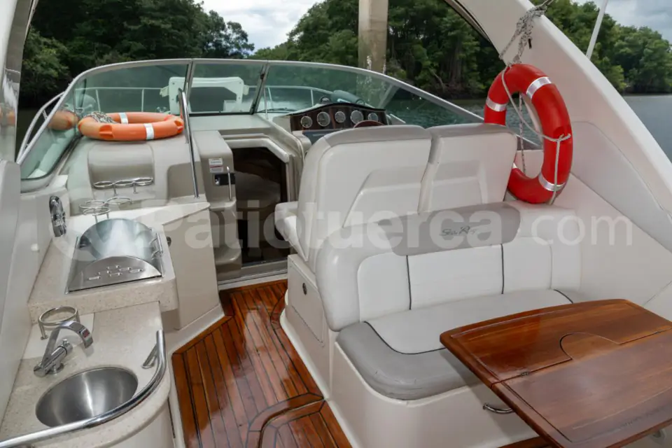 Foto 10 de Sea Ray Sundancer