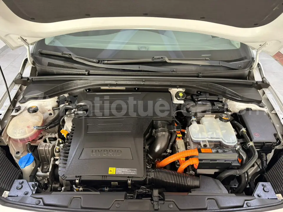 Foto 29 de Hyundai Ioniq Hybrid